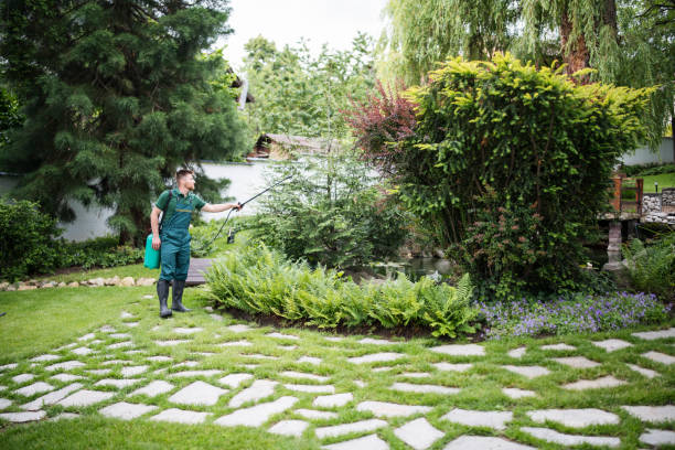 Best Mosquito Control Services  in Fairplains, NC