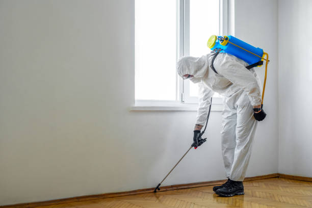 Best Best Pest Control Companies  in Fairplains, NC