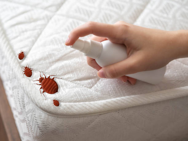  Fairplains, NC Pest Control Pros
