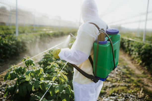 Best Bed Bug Extermination  in Fairplains, NC